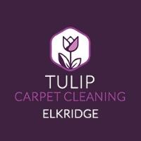 Tulip Carpet Cleaning Elkridge image 1